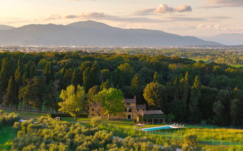Villa del Poggio D'Oro 8: Tree, Landscape, Land Lot, Rural Area, Plain, Home, Estate, Meadow, Farmhouse, Plantation