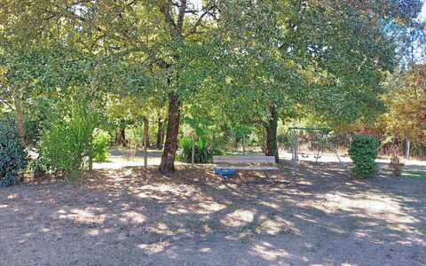 Tartoure: Leaf, Tree, Branch, Shrub, Shade, Trunk, Woody Plant, Soil, Woodland, Garden