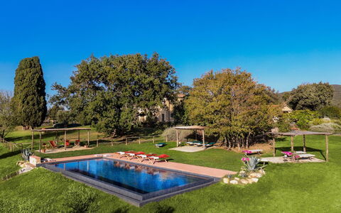 Villa Monte, Bolgheri: Tree, Swimming Pool, Landscape, Garden, Leisure, Lawn, Landscaping, Park, Estate, Resort