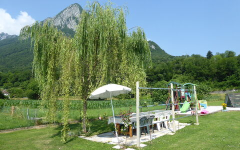 Casa Mis: Garden, Lawn, Shade, Park, Evergreen, Landscaping, Yard, Backyard, Outdoor Furniture