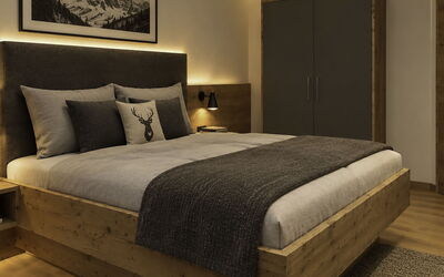 Accommodation:&nbsp;Kombi Zellerblick+Gerlosblick 737.3