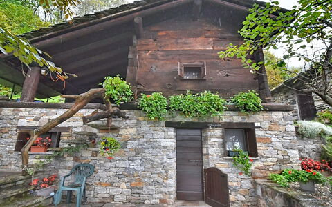 Chalet degli Gnomi: Tree, Snow, Winter, Forest, Freezing, Larch, Evergreen, Woodland