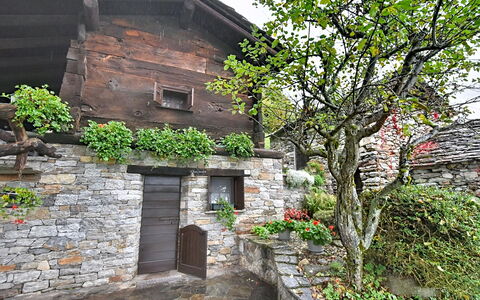Chalet degli Gnomi: Tree, Snow, Winter, Forest, Freezing, Larch, Evergreen, Woodland