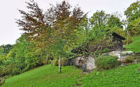 Chalet degli Gnomi: Tree, Snow, Winter, Forest, Freezing, Larch, Evergreen, Woodland