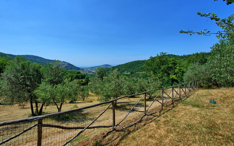 Poggio Conca: Nature, Sky, Natural Environment, Natural Landscape, Tree, Wilderness, Mountain, Nature Reserve, Rural Area, Hill Station