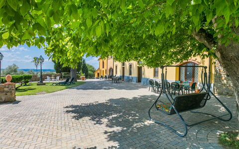 Vinci 815: Plant, Shade, Road Surface, Outdoor Furniture, Urban Design, Tree, Wood, Woody Plant, Leisure, Grass