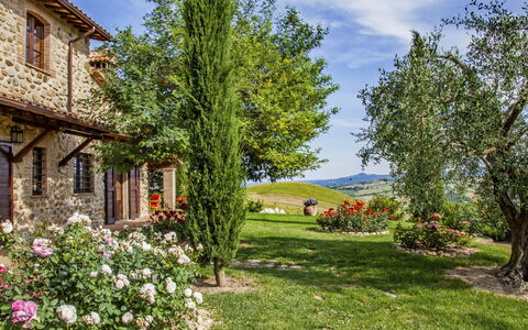 Orvieto 840: Property, House, Tree, Cottage, Real Estate, Garden, Building, Home, Grass, Rural Area
