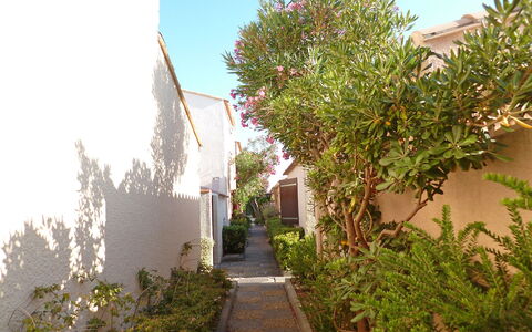 Les Leucatines 3: Tree, Property, Vegetation, Real Estate, House, Neighbourhood, Plant, Architecture, Botany, Woody Plant