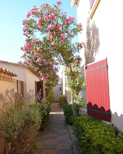 Les Leucatines 3