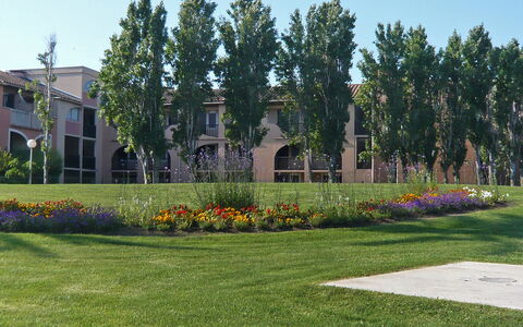 Canet-Plage 200: Grass, Tree, Shrub, Public Space, Residential Area, Garden, Groundcover, Lawn, Shade