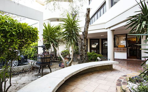 Rose des Sables: Plant, Property, Building, Architecture, Window, Arecales, Tree, Urban Design, Condominium, Real Estate