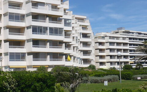 Canet-Plage 710: Plant, Building, Property, Window, Sky, Tree, Tower Block, Urban Design, Neighbourhood, Residential Area