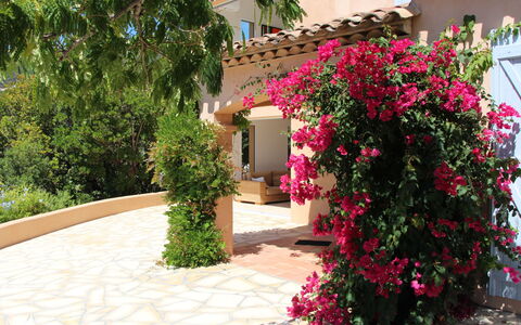 Mare e Sole: Flower, Plant, Property, Building, Window, Petal, Woody Plant, Landscape, Shrub, Tree