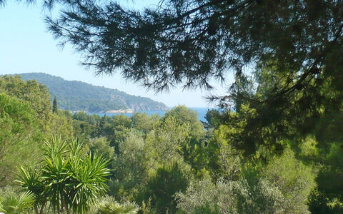 Mas Baladou: Vegetation, Nature, Tree, Nature Reserve, Wilderness, Natural Environment, Mountainous Landforms, Biome, Sky, Mountain