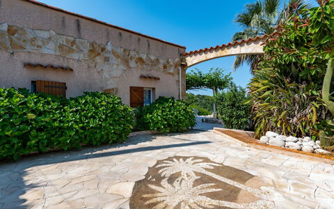 Campestra: Plant, Sky, Property, Building, Azure, Window, Architecture, Arecales, Tree, Landscape