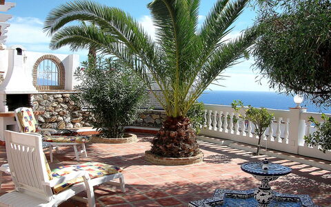 Villa Mimosa: Property, Tree, Palm Tree, Real Estate, Building, Arecales, Vacation, Majorelle Blue, Azure, House