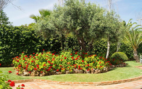 Mijas Beach: Garden, Flower, Tree, Plant, Shrub, Botanical Garden, Botany, Spring, Woody Plant, Landscape