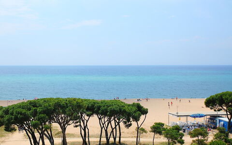 Paisos Catalans: Sea, Beach, Tree, Sky, Coast, Shore, Horizon, Ocean, Vacation, Tourism