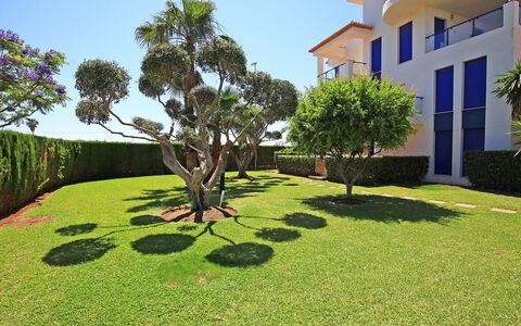Alma del Sol: Property, Grass, Green, Tree, Lawn, Vegetation, Real Estate, House, Botany, Estate