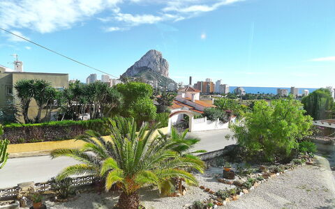 Jara: Vegetation, Property, Botanical Garden, Daytime, Botany, Garden, Real Estate, Sky, Tree, Tourism