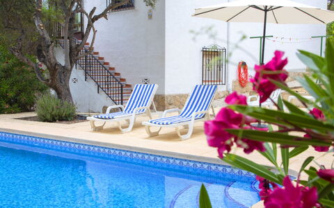 La Cigarra: Water, Plant, Flower, Property, Building, Azure, Swimming Pool, Blue, Outdoor Furniture, Leisure
