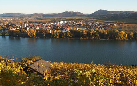 Haus Fries: Water, Sky, Water Resources, Mountain, Ecoregion, Plant, Natural Landscape, Leaf, Yellow, Vegetation