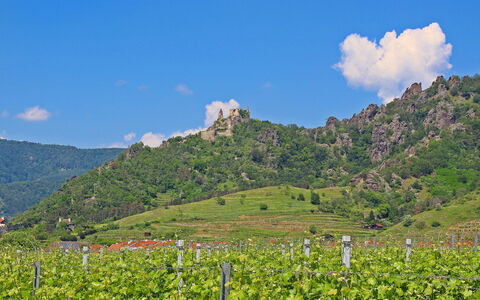 Haus Fries: Mountain, Cloud, Sky, Plant, Plant Community, Ecoregion, Nature, Natural Landscape, Leaf, Natural Environment
