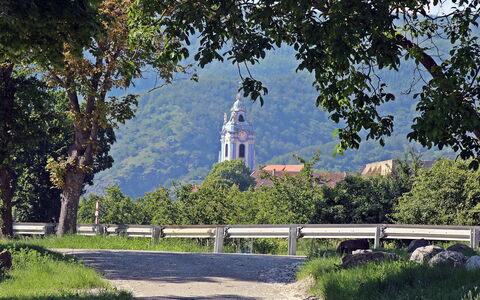 Haus Fries: Plant, Sky, Property, Tree, Natural Landscape, Architecture, Building, Vegetation, Road Surface, Wall