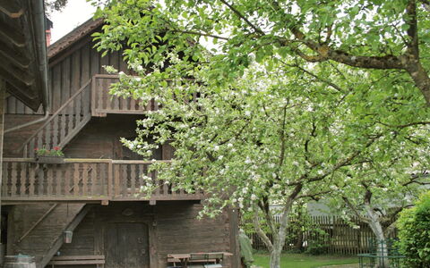 Troadkasten: Tree, House, Woody Plant, Plant, Spring, Architecture, Building, Leaf, Wood, Branch