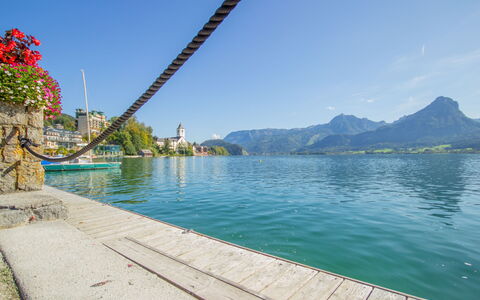 Sankt Wolfgang im Salzkammergut 50: Water, Sky, Water Resources, Plant, Cloud, Mountain, Lake, Tree, Coastal And Oceanic Landforms, Wood
