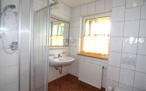 Altenmarkt im Pongau 300: Bathroom, Property, Room, Tile, Floor, Building, Interior Design, Real Estate, House, Architecture