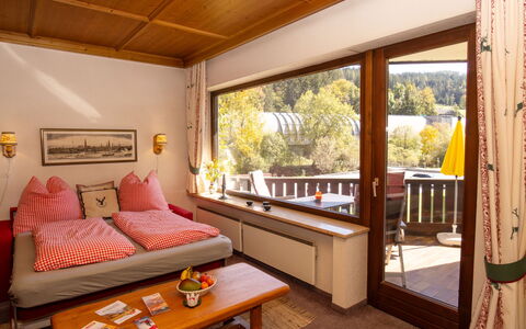 Accommodation:&nbsp;Dachstein Top 12 5.4
