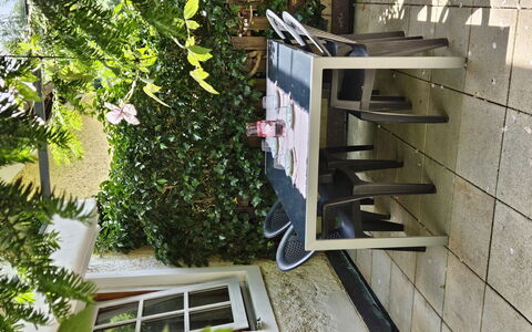 Dr.steiner: Flowerpot, Outdoor Furniture, Garden, Chair, Houseplant, Outdoor Table, Yard, Shade, Backyard, Wood Stain