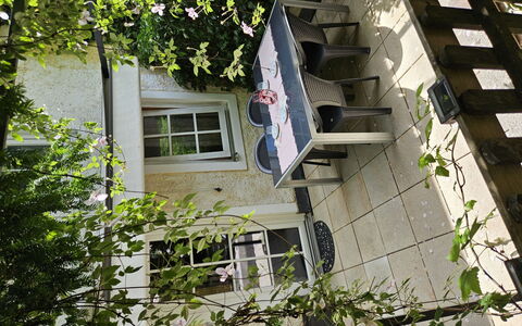 Dr.steiner: Outdoor Furniture, Chair, Outdoor Table, Yard, Garden, Backyard, Shade, Courtyard, Houseplant