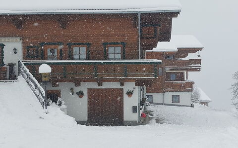 Unterpirchhof: Building, Snow, Window, House, Slope, Urban Design, Wood, Facade, Freezing, Roof