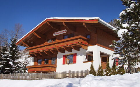 Haus am Sonnenhang: Sky, Snow, Tree, Wood, Slope, Larch, Cottage, Freezing, Facade, Plant