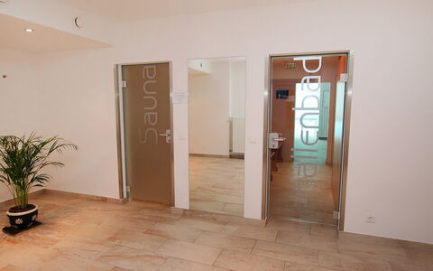 Seefeld in Tirol 170: Plant, Door, Flowerpot, Wood, Houseplant, Building, Flooring, Home Door