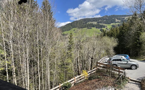 Kaiserhof: Cloud, Sky, Plant, Car, Plant Community, Wheel, Slope, Larch, Tree