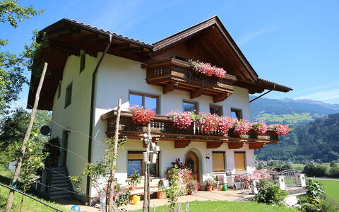 Herbert: Plant, Sky, Building, Window, Tree, House, Botany, Vegetation, Land Lot, Cottage