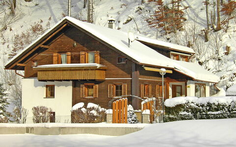 Josefine: Plant, Building, Snow, Window, Door, House, Tree, Branch, Cottage, Wood