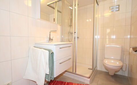 Schruns 25: Bathroom, Property, Room, Tile, Plumbing Fixture, Interior Design, Tap, Floor, Real Estate, Architecture