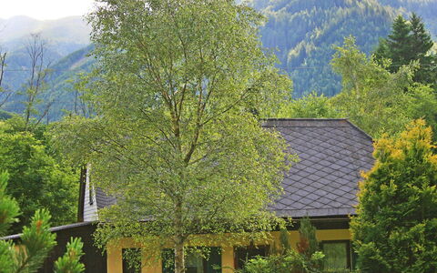 Richter: Nature, Tree, Vegetation, House, Mountain, Hill Station, Property, Mountainous Landforms, Home, Roof