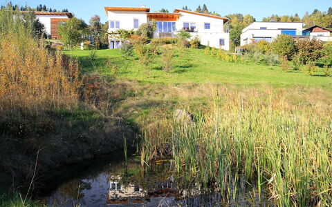 Carinthia: Natural Landscape, Water, Vegetation, Natural Environment, Bank, Waterway, Nature Reserve, River, Grass Family
