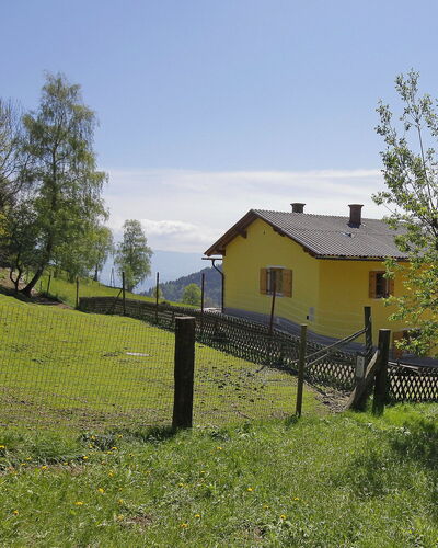 Schönhart