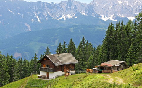 Wassertheureralm: Sky, Plant, Mountain, Building, Ecoregion, Green, Nature, Natural Landscape, Tree, Larch