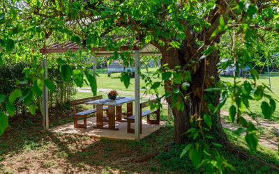 Accommodation:&nbsp;Vesela 580.1