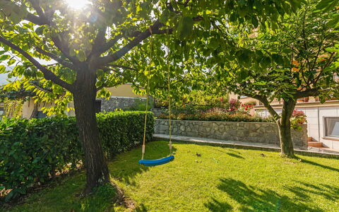 Opatija Mihelići 405: Plant, Leaf, Branch, Natural Landscape, Shade, Tree, Land Lot, Grass, Woody Plant, Window