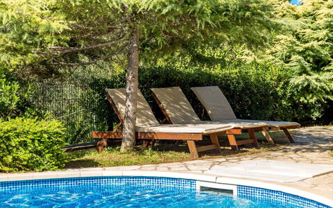 Ivana 2: Water, Plant, Swimming Pool, Property, Light, Nature, Blue, Natural Landscape, Botany, Shade