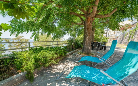 Novigrad (Zadar) 100: Plant, Leaf, Tree, Branch, Shade, Outdoor Furniture, Grass, Leisure, Tints And Shades, Groundcover