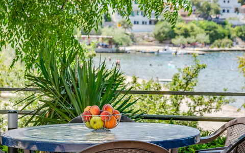 Novigrad (Zadar) 100: Table, Water, Furniture, Plant, Flower, Nature, Chair, Outdoor Furniture, Tree, Outdoor Table